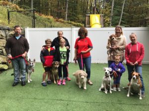 Puppy Training for the Westchester, NY area!