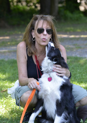 Border Collie Dog Training Ossining